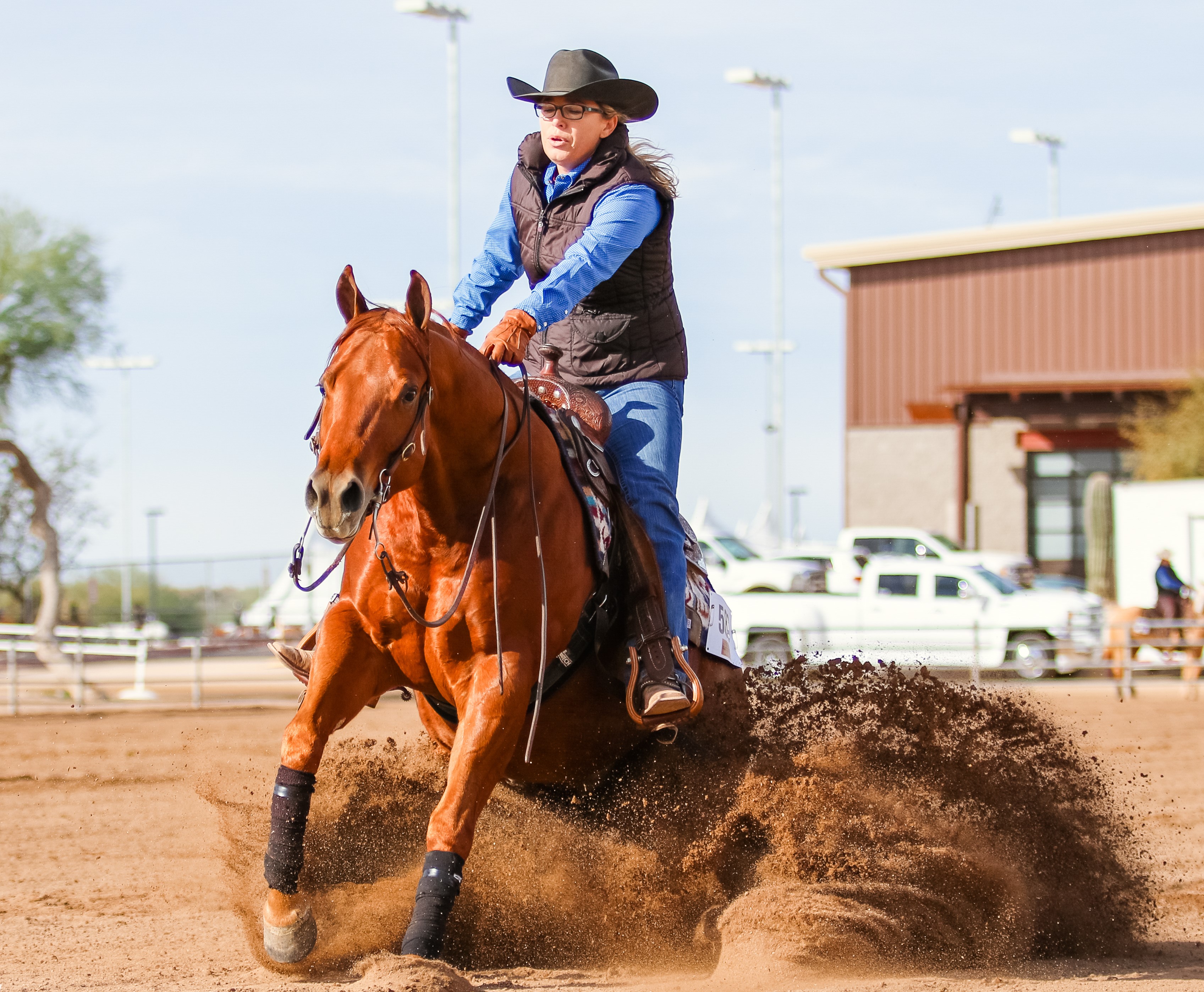 AC-248 - Arizona National Livestock Show