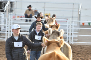 Arizona National Livestock Show Judging Clinic