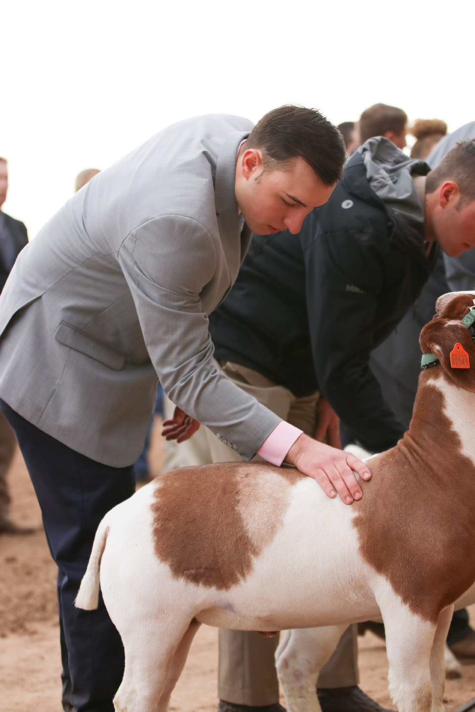 MCF188365 Arizona National Livestock Show